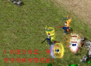 1.80���źϻ�����Щ�����ܵ��侭�飿