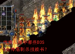 ����˽������ЩBOSS������ɱ�����飿