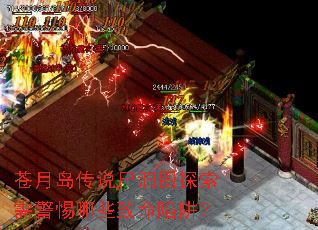 ���µ���˵ʬ��ͼ̽���辯����Щ�������壿