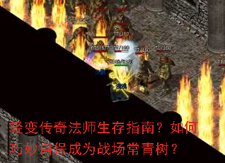 ��䴫�淨ʦ����ָ�ϣ���������Ա���Ϊս����������