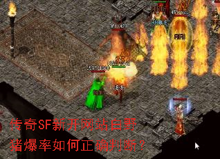 ����SF�¿���վ��Ұ�����������ȷ�жϣ�