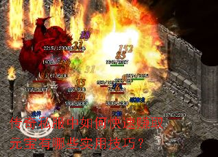 ����˽������ο���׬ȡԪ������Щʵ�ü��ɣ�