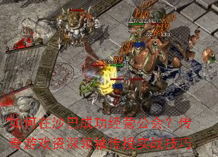 �����ɳ�ͳɹ���Ӫ���᣿������Ϸ�������䴫��ʵս����