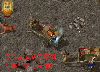 ����������鹥������Щ�������⣿