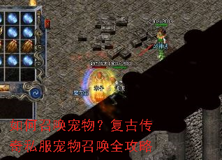 ����ٻ�������Ŵ���˽�������ٻ�ȫ����