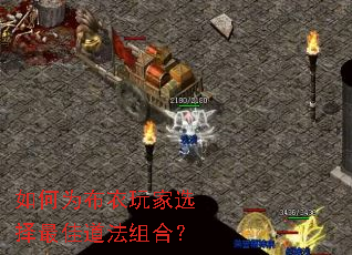 ���Ϊ�������ѡ����ѵ�����ϣ�