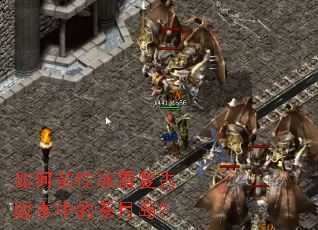 ���ǰ����ѩ���Ű汾�еĲ��µ���