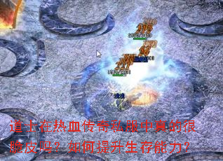��ʿ����Ѫ����˽������ĺܴ�Ƥ�������������������