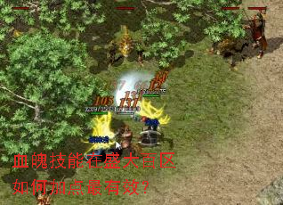 Ѫ�Ǽ�����ʢ�������μӵ�����Ч��