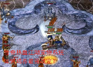 ������Ѫ��������ϵͳ���������ǿս�裿