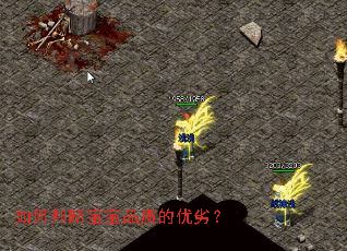 ����жϱ���Ʒ�ʵ����ӣ�