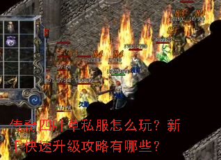 ������Ҷ��˽����ô�棿���ֿ���������������Щ��
