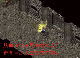 ��Ѫ������µ���ô�ߣ�����µ����λ�����ģ�