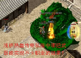 ǳ����Ѫ����˽�����İ�������ʵ�ֲ���ְҵ��Ч����