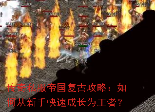 ����˽���۹����Ź��ԣ���δ����ֿ��ٳɳ�Ϊ���ߣ�