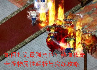 ��δ�����ǿ��ɫ����Ѫ����ȫ�������Խ�����ʵս����