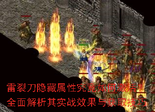 ���ѵ��������Ծ�����μ��ȫ�������ʵսЧ�����ȡ����