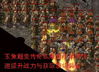 ���ó��䴫��˽��������ο�������ս�����ȡ����װ����