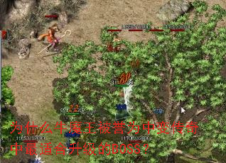 Ϊʲôţħ������Ϊ�б䴫�������ʺ�������BOSS��
