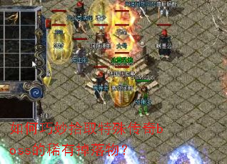 �������ʰȡ���⴫��boss��ϡ�е����