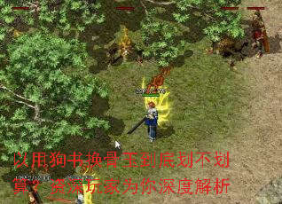 ���ù��黻���񵽵׻������㣿�������Ϊ����Ƚ���