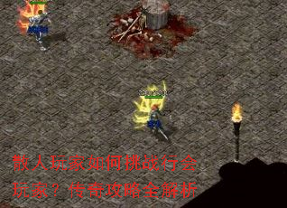 ɢ����������ս�л���ң����湥��ȫ����