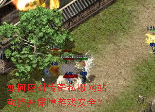 ���Ӧ�Դ���˽����վ�ٳֲ�������Ϸ��ȫ��
