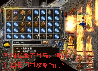 ����˽�����µ����ǰ�������Ŵ幥��ָ�ϣ�