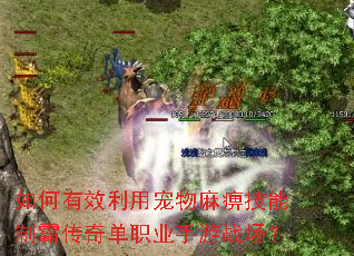 �����Ч���ó�����Լ����ưԴ��浥ְҵ����ս����