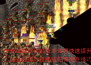 ���浥ְҵ�и�汾��ο�������ս����װ��ѡ���뼼�ܴ�������Щ���ɣ�