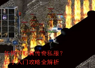 ��������洫��˽�����������Ź���ȫ����