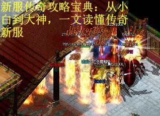 新服传奇攻略宝典：从小白到大神，一文读懂传奇新服